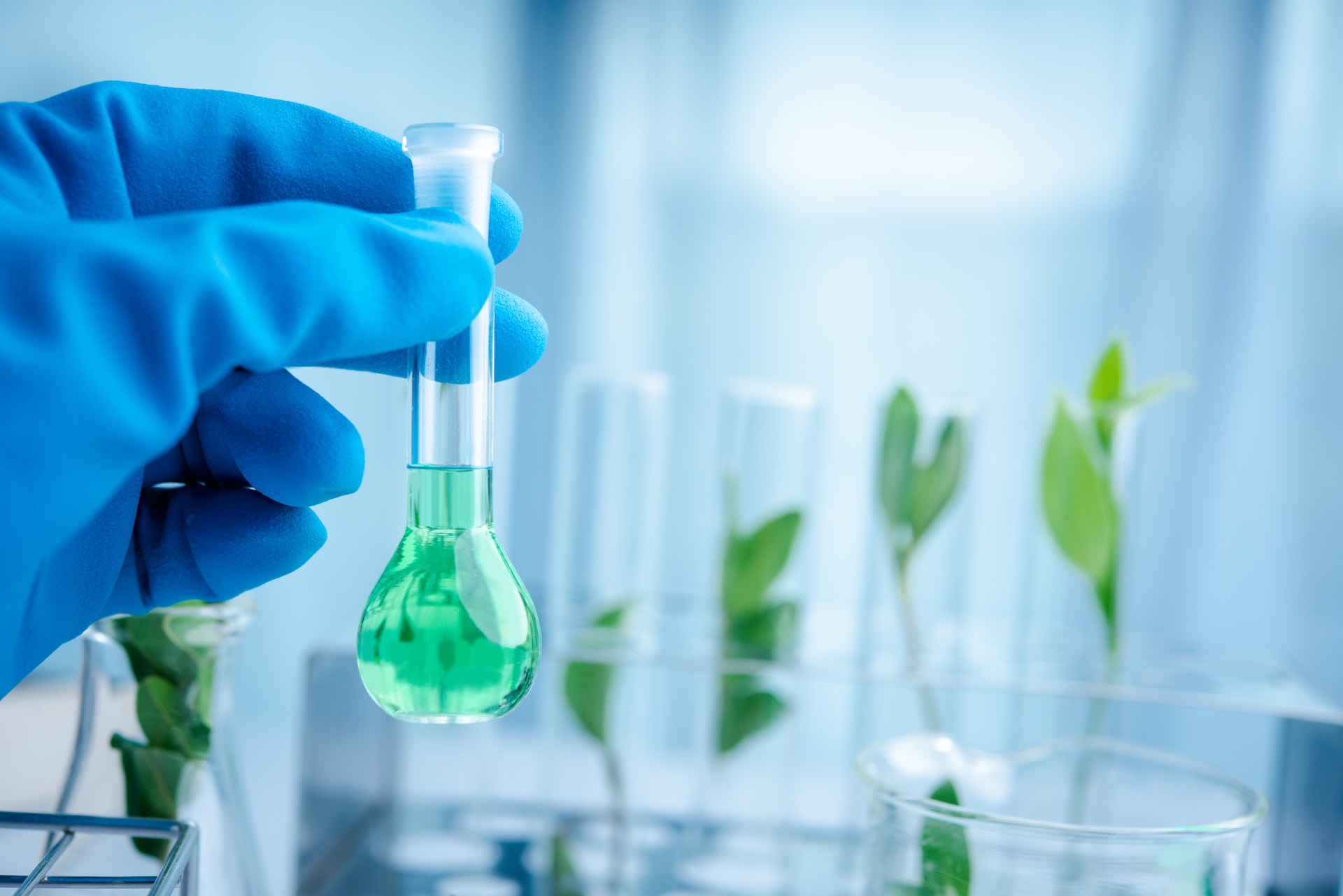 A gloved hand holds a test tube containing a green liquid. In the background, there are additional test tubes with green plant stems inside them, placed in a rack. The setting appears to be a laboratory with a blue-tinged lighting.