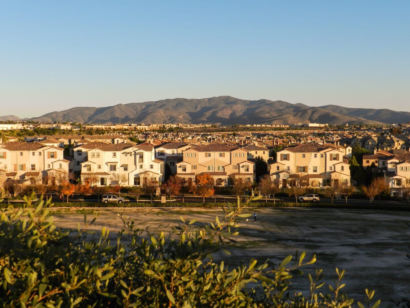 A suburban neighborhood with rows of houses under a clear blue sky. In the background, a mountain range is visible. The foreground features green shrubbery, and the scene is bathed in warm sunlight.