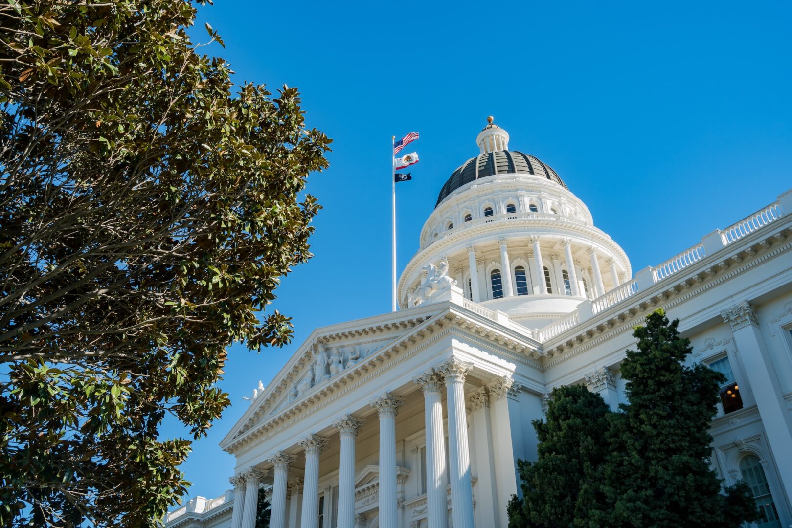 A white domed government building with columns, partially framed by trees, stands against a clear blue sky with flags flying from a tall flagpole. A white domed government building with columns, partially framed by trees, stands against a clear blue sky with flags flying from a tall flagpole.