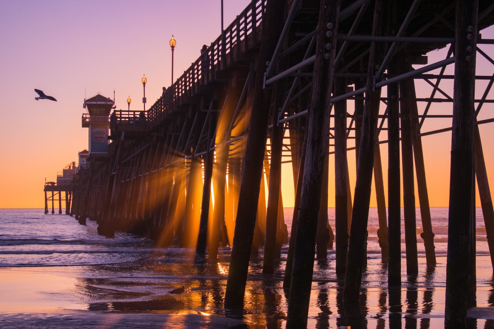 A wooden pier stretches over the ocean at sunset, with sunlight streaming through its pillars. Lamps on the pier glow softly, and a bird flies to the left against a purple and orange sky. Waves gently lap the shore. A wooden pier stretches over the ocean at sunset, with sunlight streaming through its pillars. Lamps on the pier glow softly, and a bird flies to the left against a purple and orange sky. Waves gently lap the shore.