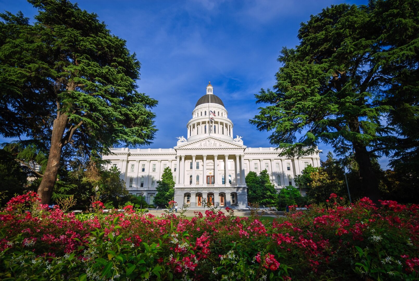 The California State Capitol building in Sacramento, with a white dome and columns, is framed by tall trees and colorful flower beds under a bright blue sky. The California State Capitol building in Sacramento, with a white dome and columns, is framed by tall trees and colorful flower beds under a bright blue sky.