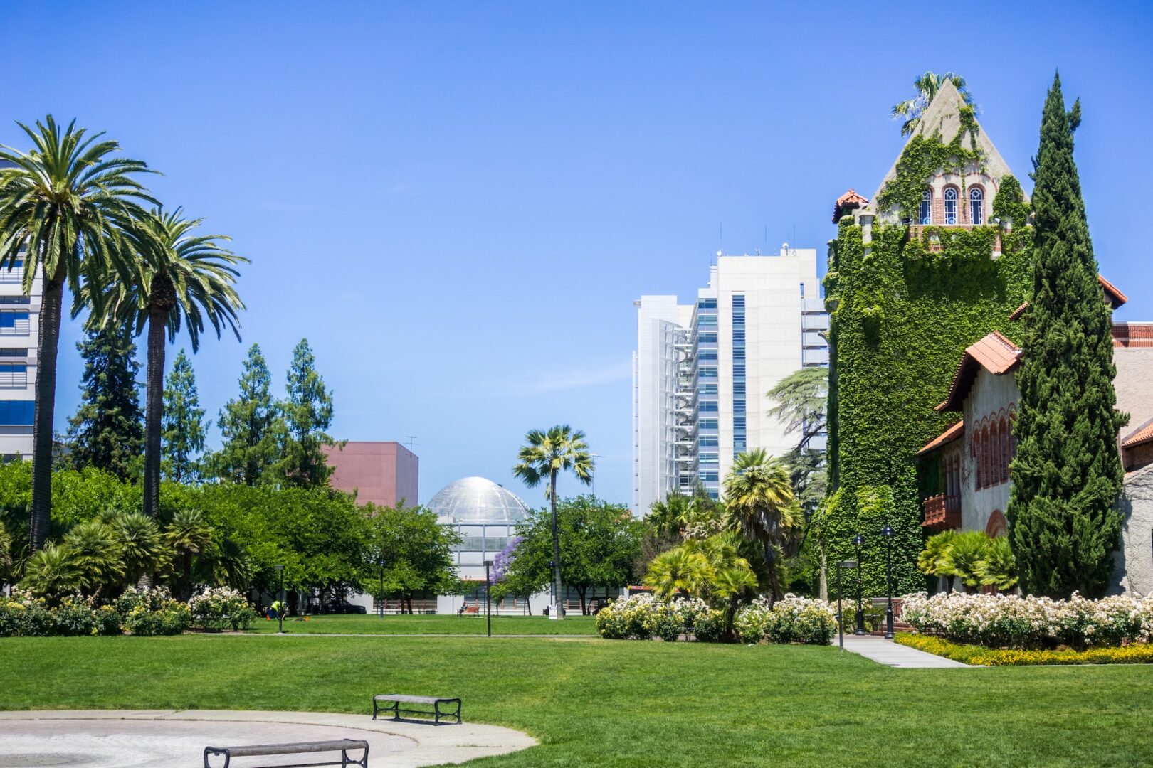 A lush green campus with palm trees, an ivy-covered building, modern high-rises in the background, and a clear blue sky overhead. Benches and flower beds are scattered across the grassy lawn. A lush green campus with palm trees, an ivy-covered building, modern high-rises in the background, and a clear blue sky overhead. Benches and flower beds are scattered across the grassy lawn.