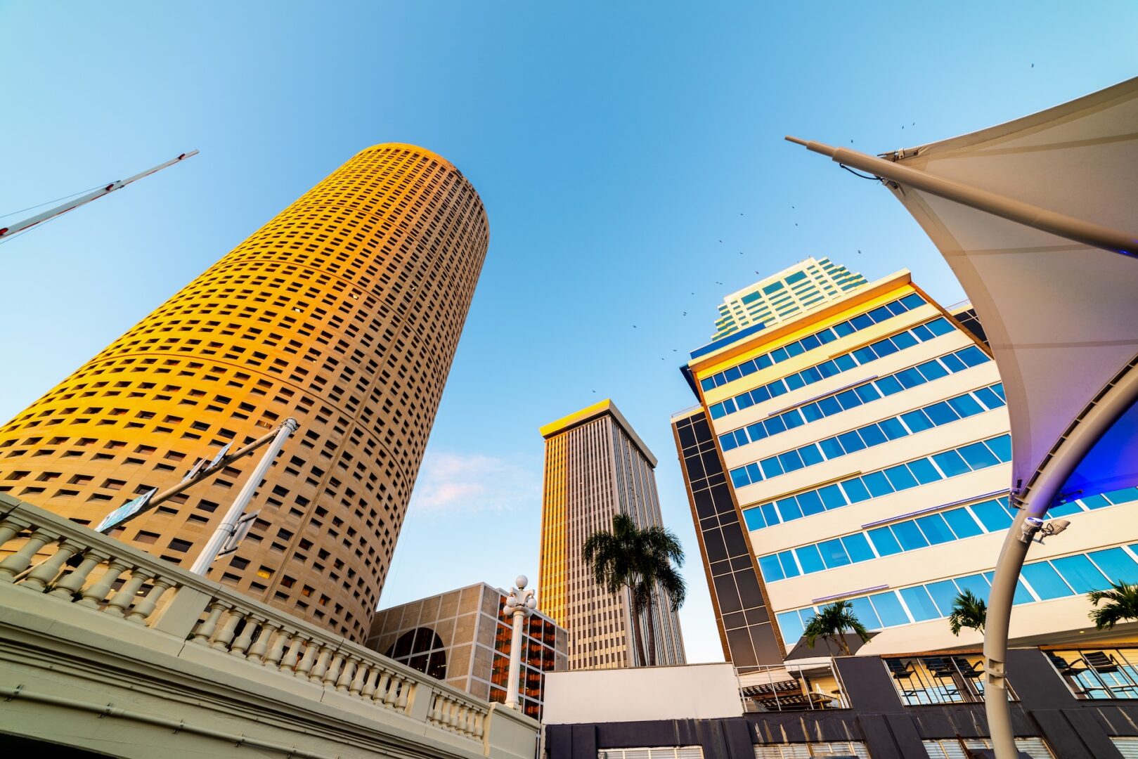 A low-angle view of modern, tall office buildings and a palm tree against a clear blue sky in a cityscape, with sunlight reflecting off the structures. A low-angle view of modern, tall office buildings and a palm tree against a clear blue sky in a cityscape, with sunlight reflecting off the structures.