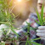 Cannabis business owner reviewing Section 280E tax deductions with a tax attorney